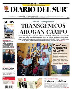Cover of Diario del Sur