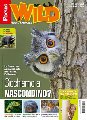 Cover of Focus Wild