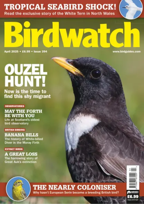 Cover of Birdwatch