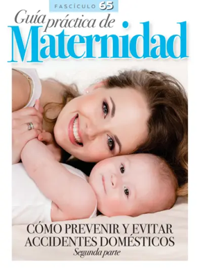 Cover of Guia Practica de Maternidad
