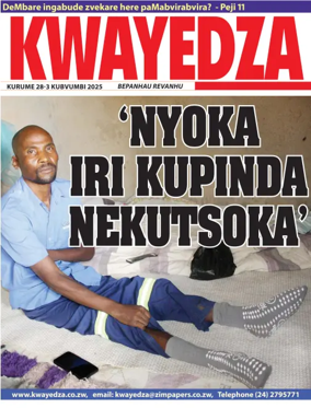 Cover of Kwayedza