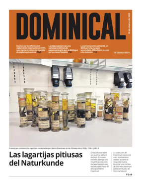 Cover of Dominical
