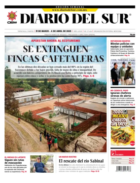 Cover of Diario del Sur