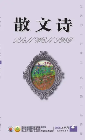 Cover of San Wen Shi