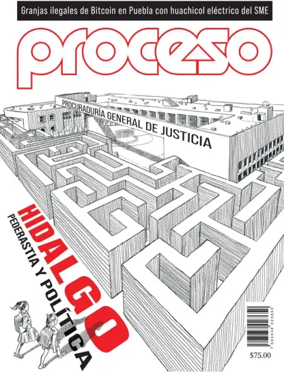 Cover of Proceso