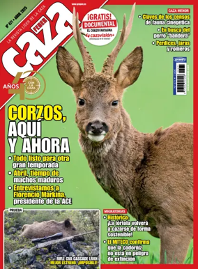 Cover of Federcaza