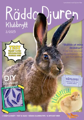 Cover of Radda Djuren