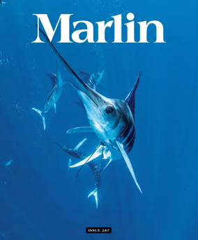 Cover of Marlin