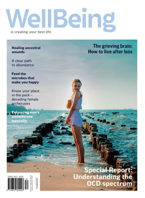 Cover of WellBeing