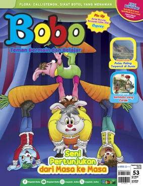 Cover of Bobo