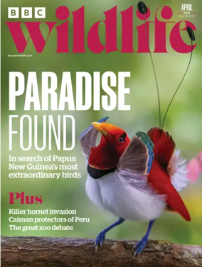 Cover of BBC Wildlife Magazine