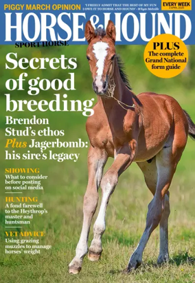 Cover of Horse & Hound