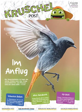 Cover of Kruschelpost