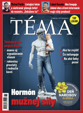 Cover of Téma