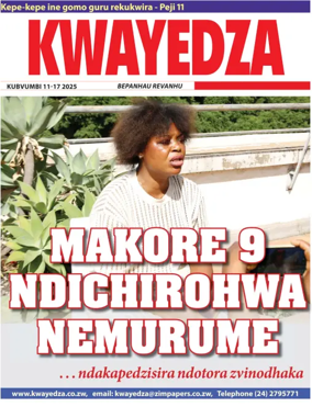 Cover of Kwayedza