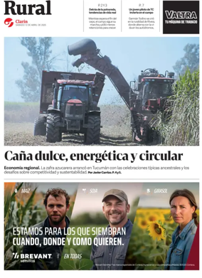 Cover of Rural