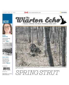 Cover of Wiarton Echo