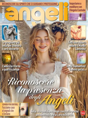 Cover of Il Mio Angelo