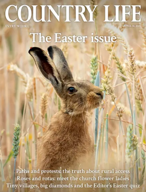 Cover of Country Life