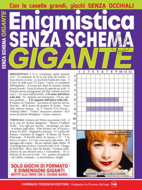 Cover of Enigmistica Senza Schema