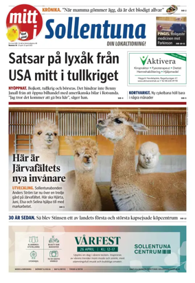 Cover of Vi i Sollentuna