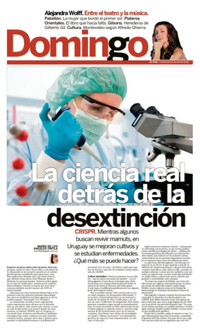 Cover of Revista domingo