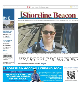 Cover of Shoreline Beacon