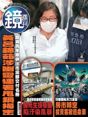 Cover of Mirror Media