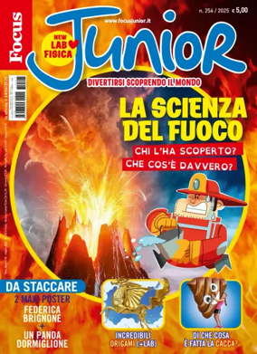 Cover of Focus Junior