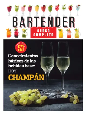 Cover of Bartender