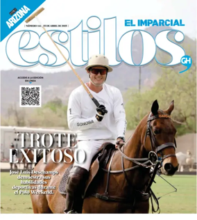 Cover of Estilos GH
