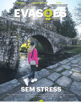 Cover of Evasões