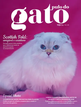 Cover of Pulo do gato