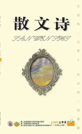 Cover of San Wen Shi