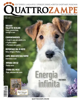Cover of Quattro Zampe