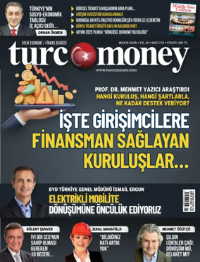 Cover of Turcomoney