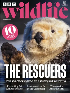 Cover of BBC Wildlife Magazine
