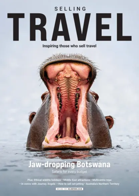 Cover of Selling Travel