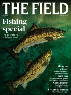 Cover of The Field