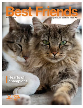 Cover of Best Friends