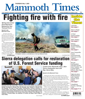Cover of Mammoth Times