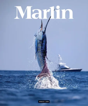 Cover of Marlin