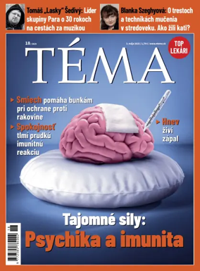 Cover of Téma
