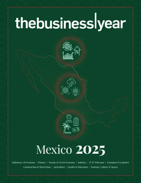Cover of The Business Year