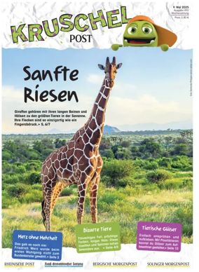 Cover of Kruschelpost