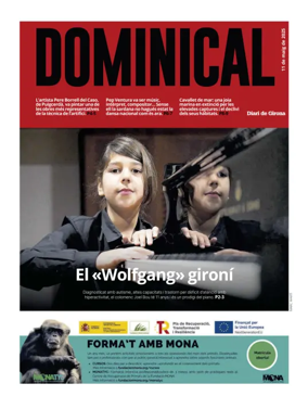 Cover of Dominical