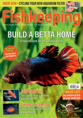 Cover of Practical Fishkeeping