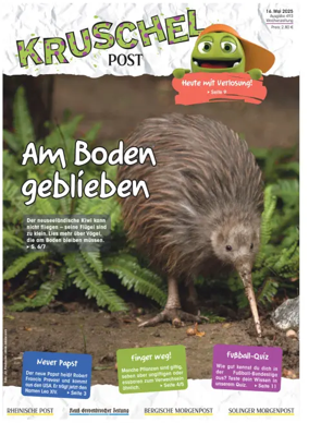 Cover of Kruschelpost