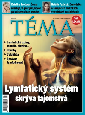 Cover of Téma