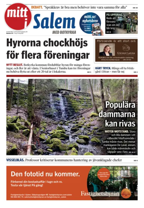 Cover of Mitt i Salem